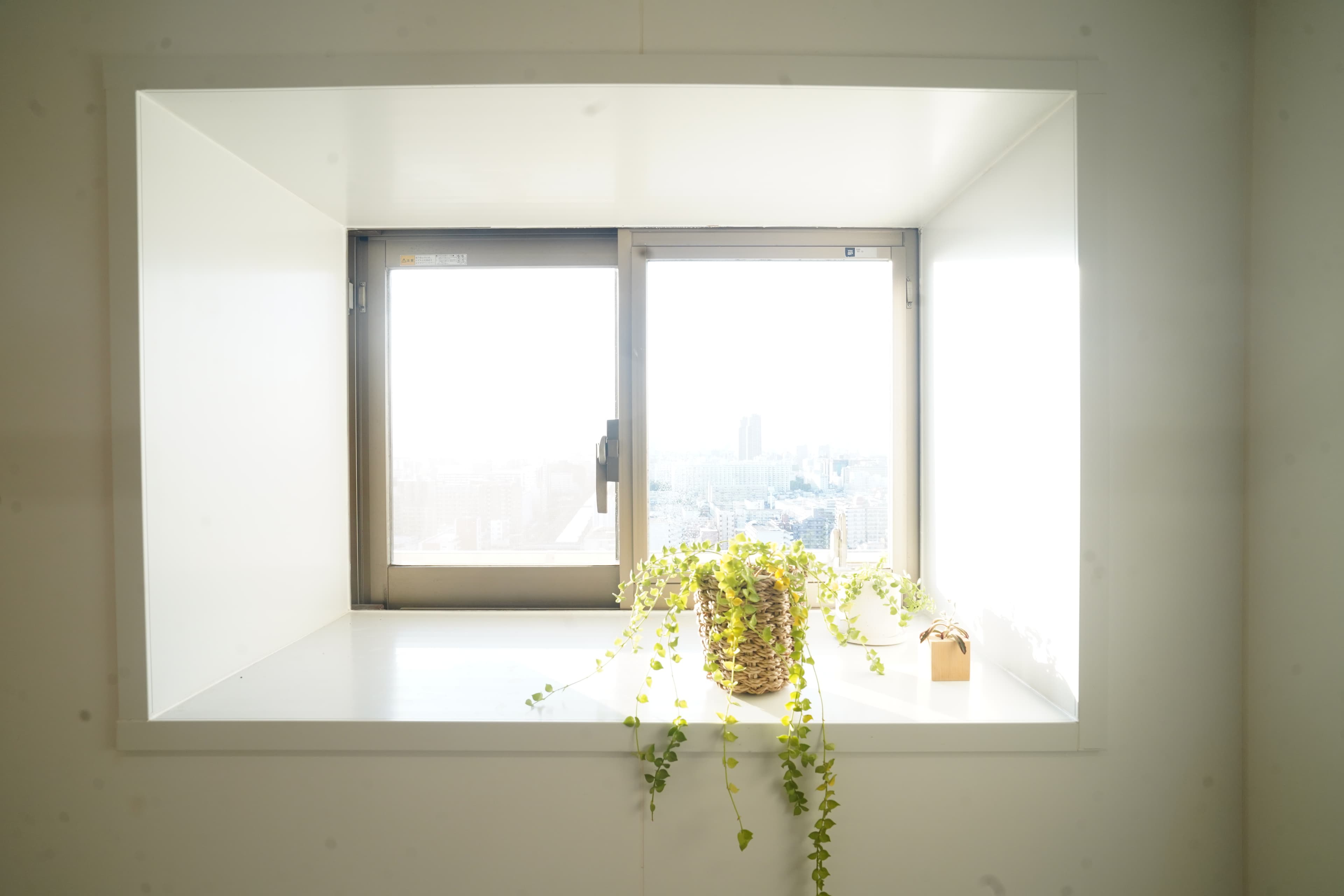 Oshima 10