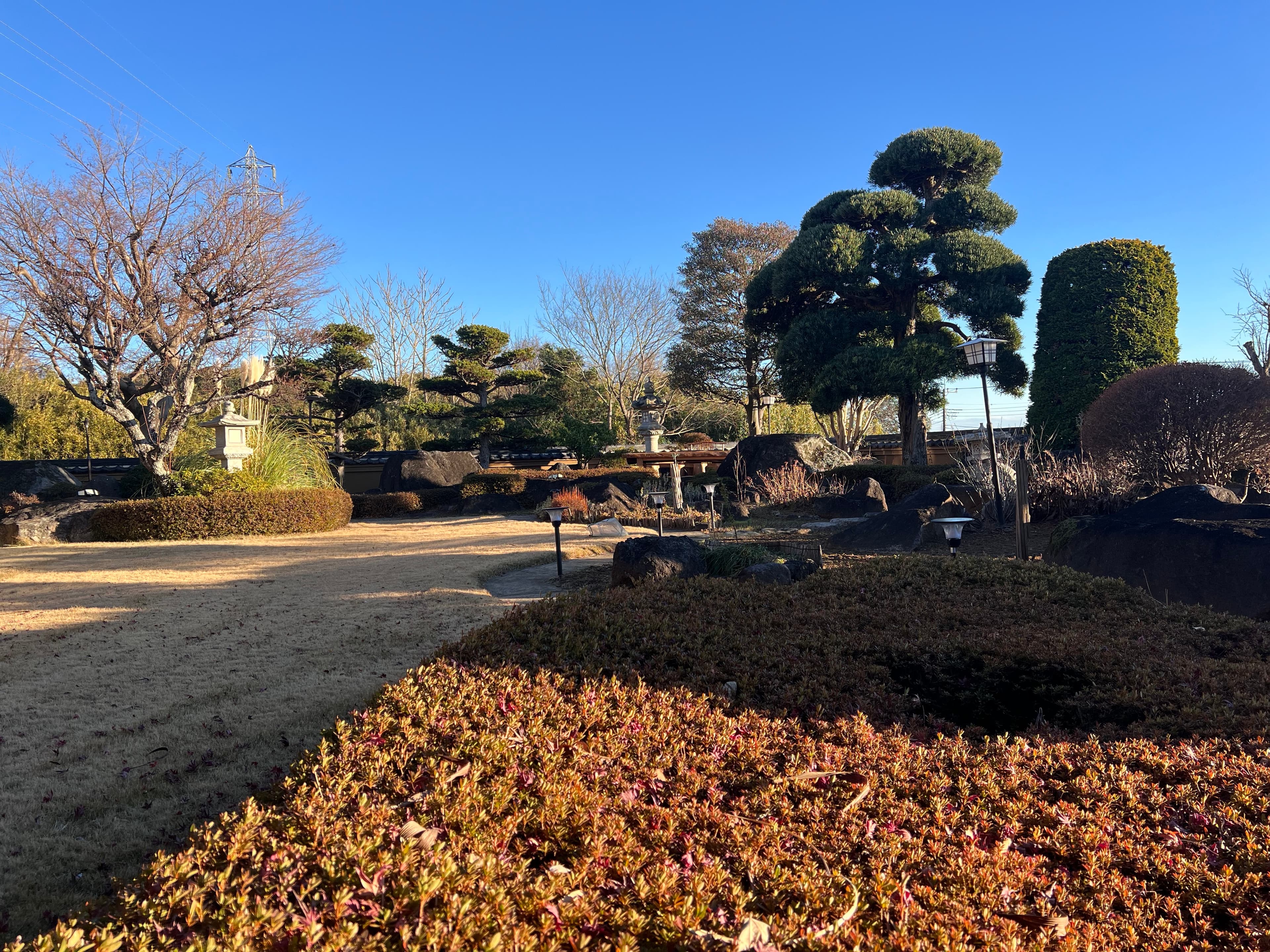 Tsukuba 21